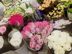 -双季花艺园艺市场(浦东店)