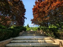 -元大都城垣遗址公园