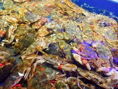 -澜悦港海鲜体验主题餐厅