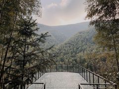 -莫干山风景区