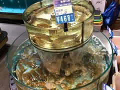 -强记海鲜·大排档(蛇口新街店)