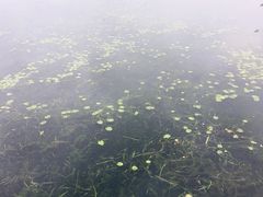 -尚贤河湿地
