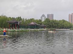 -莲花池公园