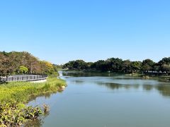 -海珠湖公园