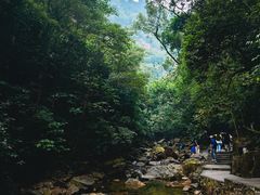-鼎湖山风景区