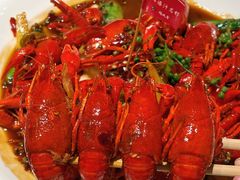 -杨氏青龙虾·羊蝎子(托乐嘉店)