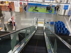 -迪卡侬(袁家岗店)