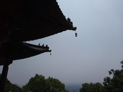 -杭州半山国家森林公园