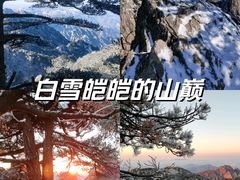 -黄山风景区