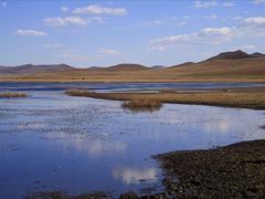 -八沟羊汤(河北大街店)