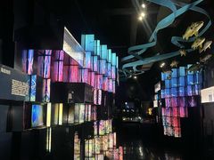 -同济大学四平路校区深海探索馆