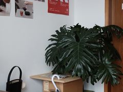 -纽巷咖啡 SOFTFOCUS COFFEE(锦和巴黎时韵店)