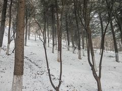 -华清宫景区