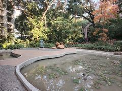-香港大学