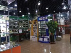 -保路达大师美车(天泰路店)