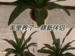 -觉藏茶社(博地影秀城店)