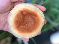-稻田秋日式面包