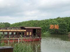 -大湾区中央湿地公园