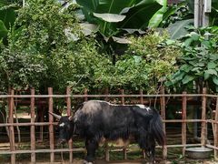 -呀路古热带植物园