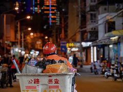 -溪岸路花鸟市场