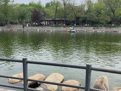 -莲湖公园