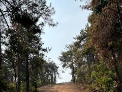 -青龙山国家森林公园