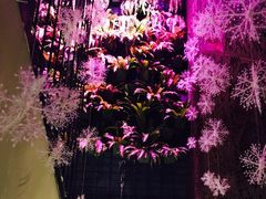 二楼-烛影拾光观景餐厅·创意菜·摄影·小提琴(大唐不夜城店)