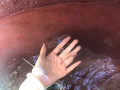 -嘉佑温泉水世界