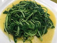-天福苑(崇宁路店)