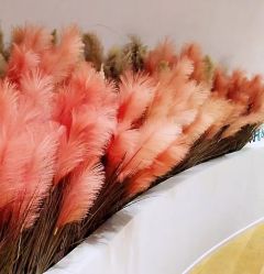 -容丽妍医疗美容