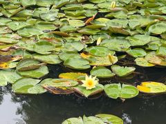 -白鹭湾湿地公园