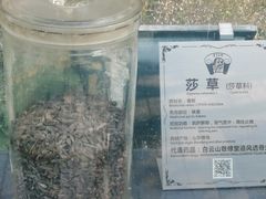 -广州神农草堂中医药博物馆