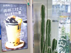 -仙雨林·奶茶鲜果茶(书院巷店)