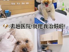 -美联众合动物医院·24h京西诊疗中心