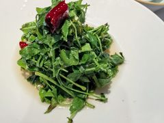 花椒芽-到家尝北京菜(西坝河店)