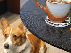 -LOOOAD COFFEE进度条(D9街区店)