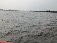 -鹅湖玫瑰文化园
