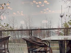-宝荣鱼馆·临湖之宴(千岛湖店)