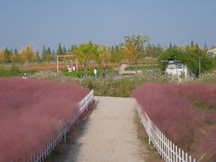 -嘉北郊野公园
