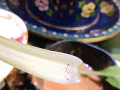 -龙虾风暴(松江店)