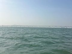 -五缘湾游艇帆船俱乐部