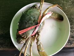 -仙本那渔人码头餐厅