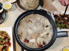 -蘑统田下·野生菌火锅