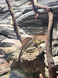 -Zoolung Zoolung动物主题公园(海信广场店)