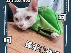 -荔康动物医院(康王北路店)