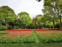 -上海鲜花港