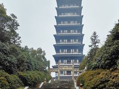 -宜兴龙背山森林公园