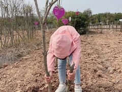 -武汉紫薇都市田园