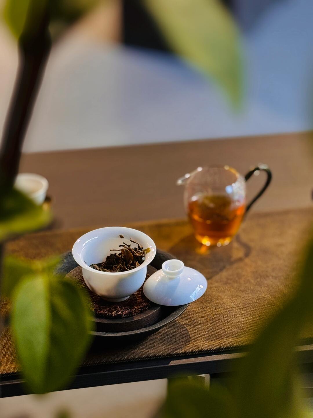 成都新茶嫩茶wx工作室揭秘茶艺师的小秘诀