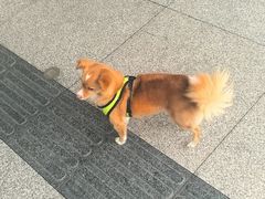 -宜家家居(高新商场店)